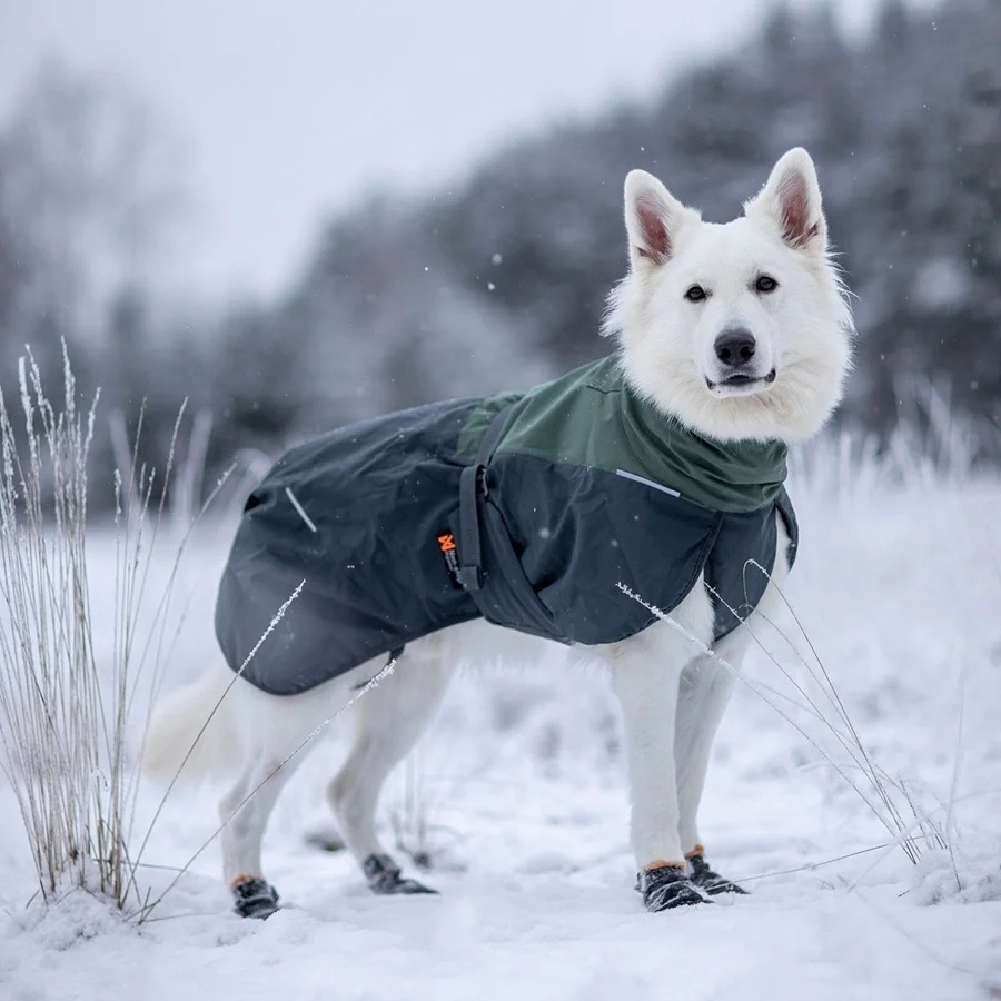 Non-stop Glacier Wool 2.0 -talvitakki, vihreä/harmaa