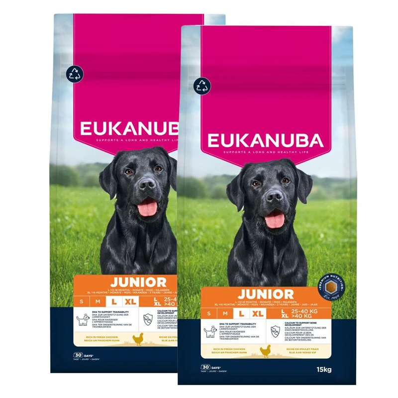 Eukanuba Dog Junior Large, 2 × 15 kg