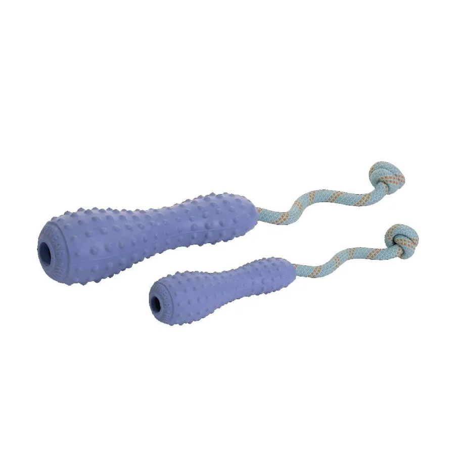 Ruffwear Gourdo -heittolelu, violetti