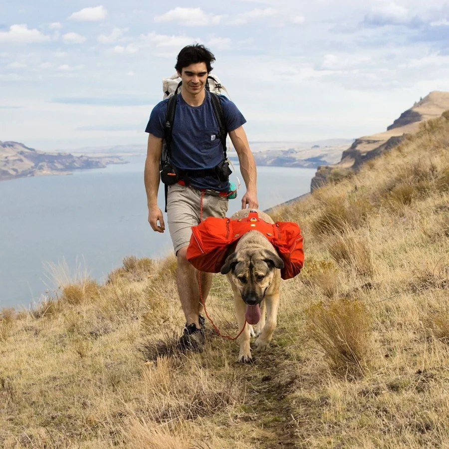 Ruffwear Palisades Pack -koiran reppu, punainen