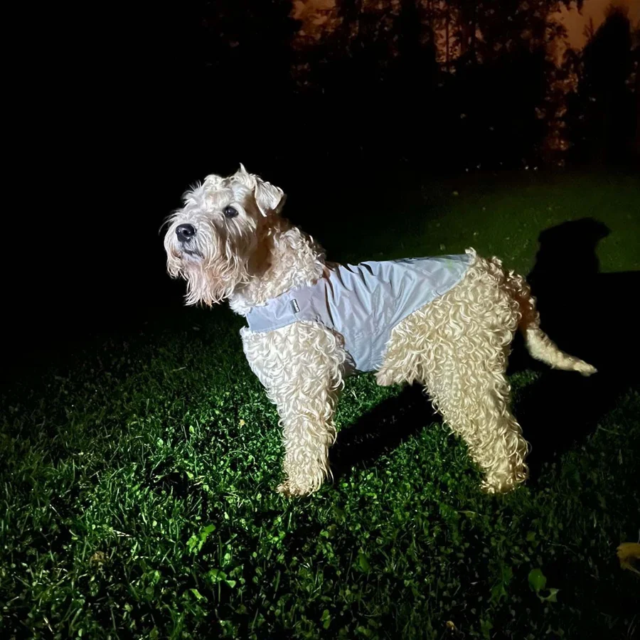 Icepeak Pet Brightly -heijastinliivi