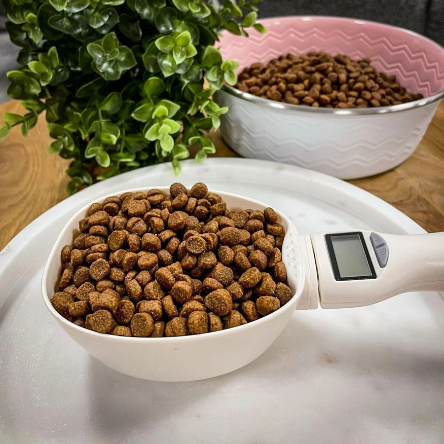 Basic-punnitseva mittakauha