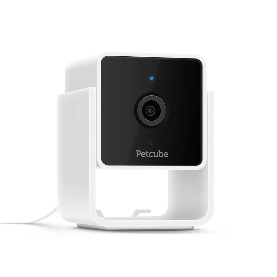 Petcube Cam -lemmikkikamera