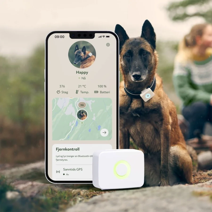 Lildog GPS -koiran paikannin