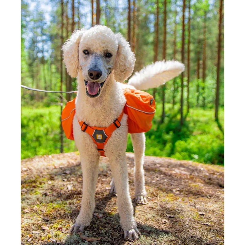 Ruffwear Approach Pack, oranssi
